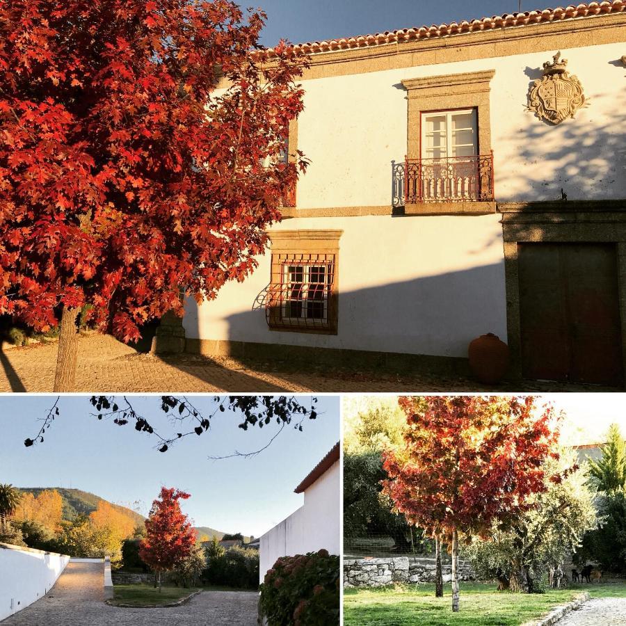 Quinta Da Porta - Solar De Vale De Prazeres Villa Kültér fotó