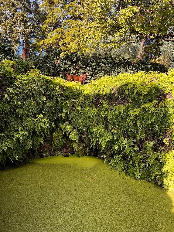 Quinta Da Porta - Solar De Vale De Prazeres Villa Kültér fotó