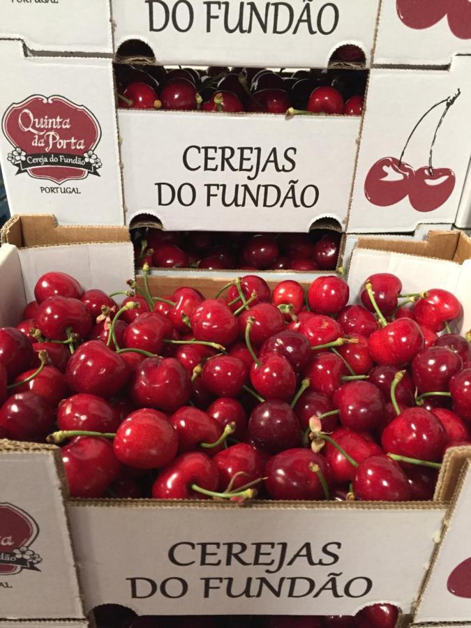 Quinta Da Porta - Solar De Vale De Prazeres Villa Kültér fotó