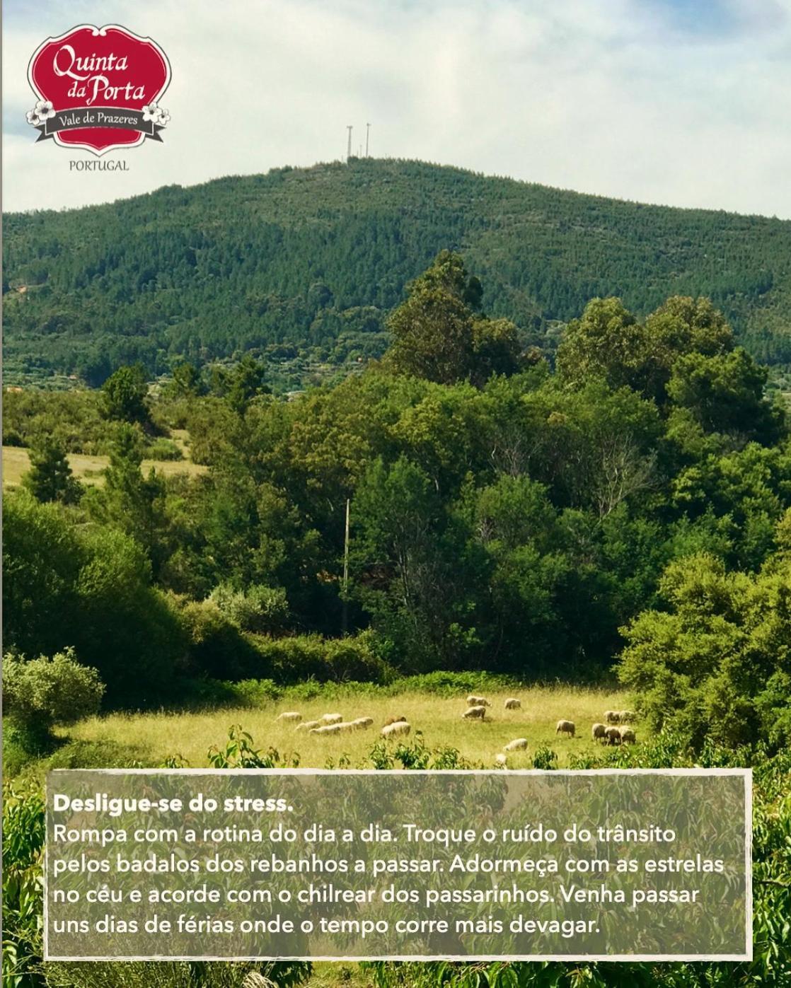 Quinta Da Porta - Solar De Vale De Prazeres Villa Kültér fotó